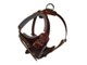 dog harness swastik international 9